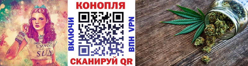 Канабис план  Купить закладки  Краснодар 